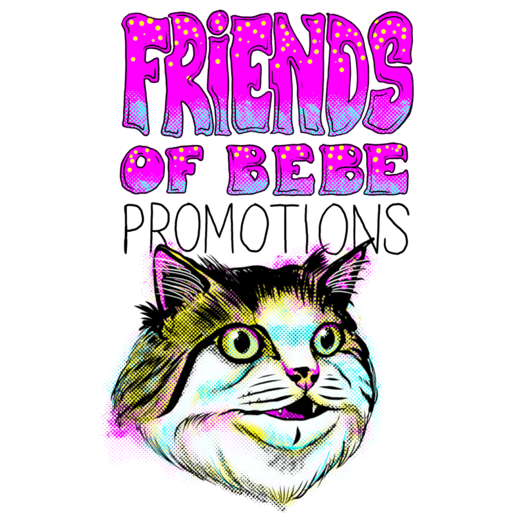 Friends of Bebe Promotions